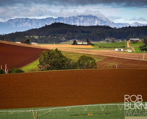 Farm in Tasmania - image by Rob Burnett Images