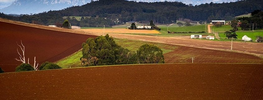 Farm in Tasmania - image by Rob Burnett Images